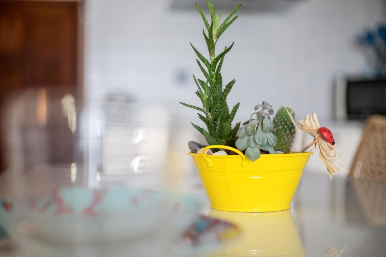 Apartamento Abuelo Miguel Cotillo Екстериор снимка